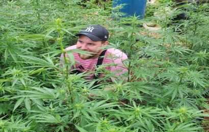 Weed Farm Tour